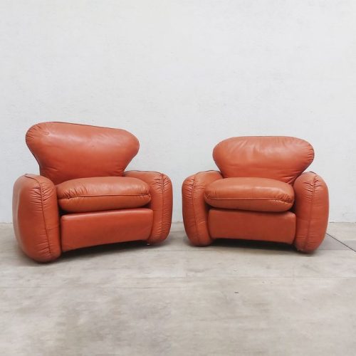 Poltrone vintage in pelle - coppia